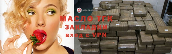 прущие крисы Бородино