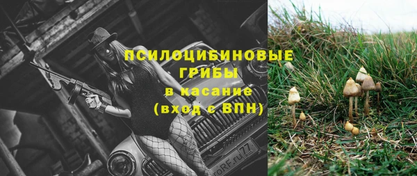 прущие крисы Бородино