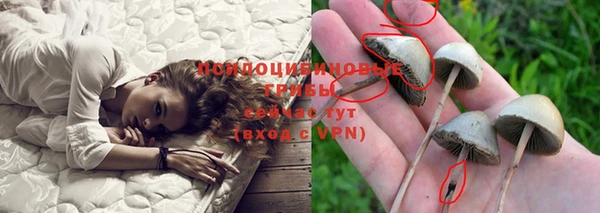 прущие крисы Бронницы