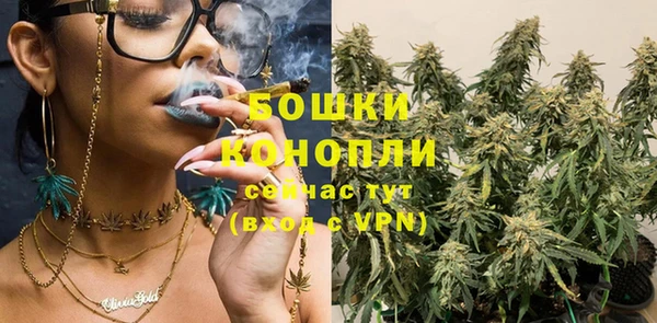 прущие крисы Бородино