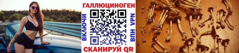 маркетплейс формула  Киржач  Галлюциногенные грибы Magic Shrooms  хочу наркоту 